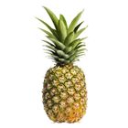 Pineapple 1 Piece