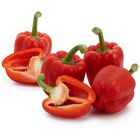 Capsicum Red Indian 250g
