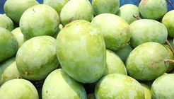 Haribhanga Mango 5kg