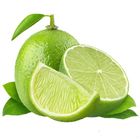 Elachi Lemon 4 Pieces