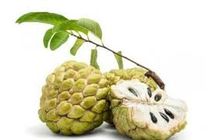 Ata Fruit 1Kg