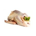 Pigeon Whole 1 Piece