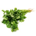 Coriander Leaves Dhonia Pata 100g