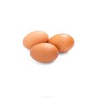 Brown Farm Eggs 1 Unit