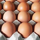 Brown Chicken Eggs 60 Pieces