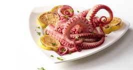 Octopus 1Kg