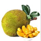 Ripe Jackfruit 1 Piece