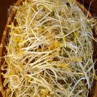 Bean Sprouts 250g