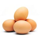 Farm Eggs 10 Pieces