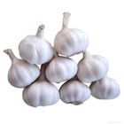 Garlic - China | 1 kg