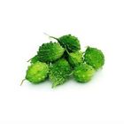 Bitter gourd Usta Korola 500g