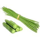 Drumstick Sajna 1kg