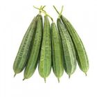 Jhinga - Ridge Gourd 500g