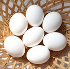 Deshi Chicken Egg 12 Pieces
