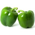 Green Capsicum 1 Piece