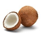 Coconut 1 Piece