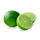Round Lemon 4 Pieces