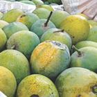 Himsagor 1Kg