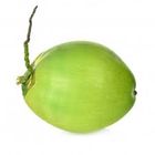 Green Coconut Daab 1 Piece