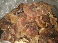 Dry Oyster Mushroom 250g