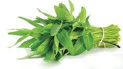 Water spinach Kolmi Shak 1 Bunch