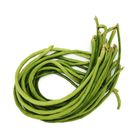 Yard Long Bean Barboti 1Kg