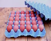 Red Eggs with Plastice Case | 30 pieces