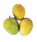 Gobindobhog Mango 1Kg