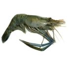 Giant Tiger Shrimp Bagda Chingri 55 x 1kg
