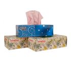 Bashundhara Facial Tissue 120 Pieces x 1 Packet