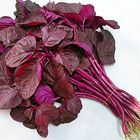 Red Amaranth Lal Shak 1 Bunch