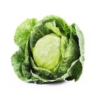 Cabbage 1 Piece