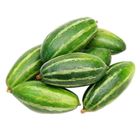 Pointed Gourd Potol 500g