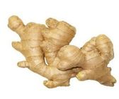 Ginger 500g