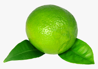 Lemon Round (Lebu Gol) PCS