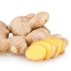 Ginger (Ada) 500g