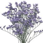 Limo Flower Stick 1 Piece