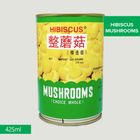 Hibiscus Mushroom Can 425g