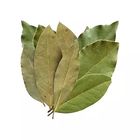 Bay Leaves 25g