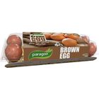 Paragon Brown Egg 12 Pieces