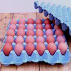 Red Egg with Plastic Tray | 30 pieces