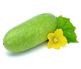 Wax Gourd Jali/ Chal Kumra 1 Piece