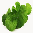 Thankuni Leaves 250g
