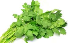 Dhania Pata Coriander 100g