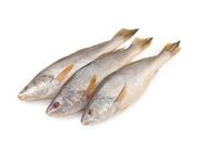 Sea Poa Fish 1kg
