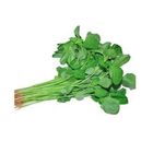 Steam Amaranth leaf Data Shak 500g