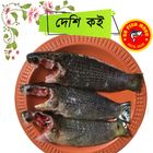 Deshi Koi Fish 1Kg