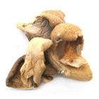 Angina Dry Oyster Mushroom 50g