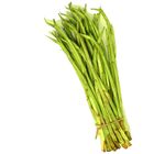 Loti 250g