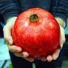 Pomegranate - Big 1.5 kg